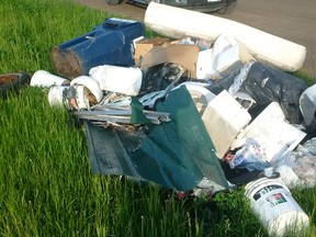 West Elgin council wants the public to report anyone they notice dumping garbage illegally on the side of the road. Public works crews were called out to three separate locations for cleanups recently.