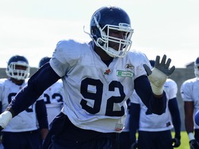 Defensive end Martez Wilson. (James Paddle-Grant/photo)