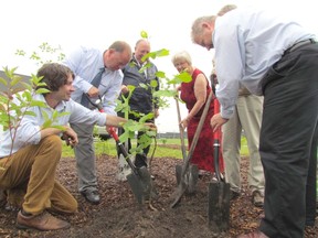 Taking part in a ceremonial tree-planting on Friday June 12, 2015 in Sarnia, Ont., at Enbridge's Sarnia Solar Farm are, from left, Shawn McKnight from Return the Landscape, Ian MacRobbie of Enbridge, Sarnia-Lambton MPP Bob Bailey, Kris Lee, with the St. Clair River Bi-national Public Advisory Committee, Sarnia Mayor Mike Bradley, and Doug Bonnyman of Enbridge. Paul Morden/Sarnia Observer/Postmedia Network