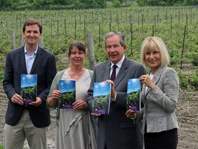 BRUCE BELL/The Intelligencer/Postmedia Network file photo
Ontario Wine Week was kicked off earlier this year at the Grange of Prince Edward Estate Winery along with the launch of the 2015 Wine Country Ontario Travel Guide. Pictured (from left) are, Richard Linley, president of the Wine Council of Ontario, Caroline Granger of the Grange of Prince Edward Estate Winery, Peterborough MPP and Agriculture, Food and Rural Affairs Minister Jeff Leal and Sylvia Augaitis, executive director of marketing for the Wine Marketing Association of Ontario.