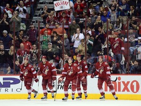 Coyotes defenceman Oliver Ekman-Larsson (23) celebrates a goal against the Canucks during NHL action in Glendale, Ariz., on March 22, 2015. (Joe Camporeale/USA TODAY Sports)