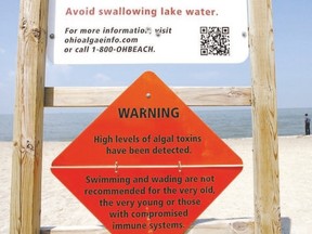 Fuelled by run-off of nutrients like phosphorus from farms, industry and sewage systems, this algae bloom in Lake Erie and Lake St. Clair, was so severe it closed beaches and even Toledo, Ohio?s, water supply last August. (REUTERS FILE)