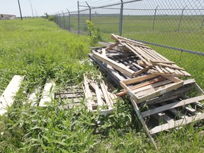 Pallets sit in tall grass -- not, in fact, a garbage dump -- Wednesaday. The city is looking at ways to crack down on illegal dumping.