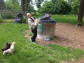 The dog waste container at the off-leash park in Greenway is overflowing. (Submitted photo)