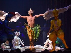 Varekai runs in Rexall Place through June 21. (Dale Macmillan/Special to the Edmonton Sun)