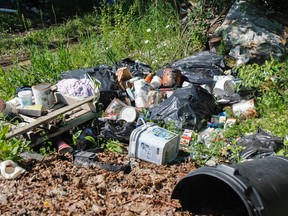 Kingston west-end homeowners are concerned with what they said is an increase in illegal dumping in their neighbourhood and on the Bayview Bog conservation property, along the top of Coronation and Taylor Kidd boulevards. Julia McKay/The Kingston Whig-Standard/Postmedia Network