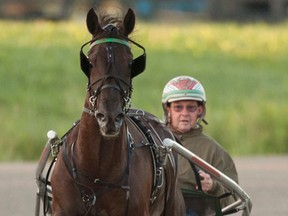 North America Cup contender Wakizashi Hanover trains with Jim King Jr. in their preparation for the 32nd edition of the $1-million race at Mohawk Racetrack tonight. (Michael Burns/photo)