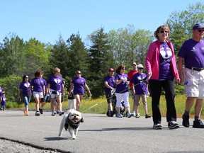 About 300 people participated in the Sudbury Walk for ALS (Amyotrophic Lateral Sclerosis) at Delki Dozzi Park  in Sudbury, Ont. on Saturday June 20, 2015. John Lappa/Sudbury Star/Postmedia Network