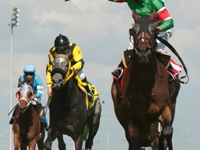 Eurico Da Silva guides Tower of Texas to victory in the $200,000 King Edward Stakes over the E.P. Taylor Turf Course at Woodbine Racetrack. Owned by Thomas F.Van Meter II and Scott Dilworth, Tower of Texas is trained by hall of famer Roger Attfield. (Michael Burns/photo)