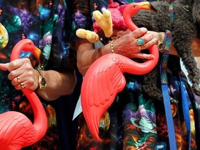 Donald and Nancy Featherstone hold their creation, the pink flamingo lawn ornament in this Sept. 20, 2012. file photo. REUTERS/Jessica Rinaldi