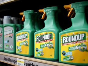 Monsanto's Roundup weedkiller atomizers are displayed for sale at a garden shop at Bonneuil-Sur-Marne near Paris, France, in this June 16, 2015, file photo. REUTERS/Charles Platiau/Files