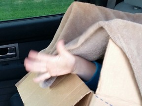 An arm pokes out from a box in the backseat of a vehicle RCMP pulled over in Airdrie. Mounties say the kid didn't feel like sitting in his car seat. (Photo supplied by RCMP)