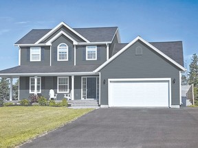 You can update your home with a permanent paint solution that allows you to spray your brick, stone or vinyl siding with a specially formulated paint that guarantees not to peel or chip for 10-25 years.