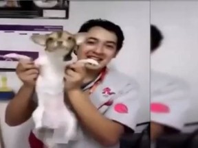 A still from the video in question of pet store employees in Mexico abusing dogs. (YouTube/Screengrab)