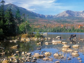 Bull Moose feeding in pond below Mount Katahdin, Maine. (Fotolia)