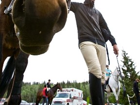 Torridon, owned by J.F. Lizaire of KW Equestrian, checks out the camera during the Edmonton Classic horse show at Whitemud Equestrian Centre in Edmonton on Thursday, May 26, 2011. CODIE MCLACHLAN/EDMONTON SUN