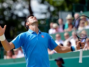 Serbia's Novak Djokovic. (Reuters/Adam Holt)