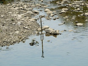 A pitchfork sits in the riverbed in front of the London Canoe Club. (MORRIS LAMONT, The London Free Pres)