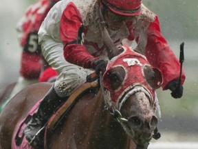 Jockey Omar Moreno guides Surtsey to victory in the Zadracarta Stakes over the E.P. Taylor turf course at Woodbine Racetrack in Toronto on June 27, 2015. Surtsey covered the seven furlongs in 1.27.Surtsey is owned by Yvonne Schwabe and trained by Kevin Attard. (MICHAEL BURNS/Photo)