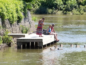 People watch from a dock as geese and goslings fight the current and swim past at the Forks of the Thames in London. A design competition for the forks enters a new phase, with the entries being narrowed down to only five or six possible options.  (File photo)