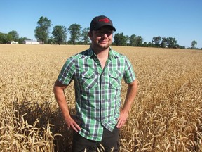 Dave Park is show in this file photo in one of the wheat fields of his family's Parkland Farms in Sarnia. Park, Lambton County's director with the Grain Farmers of Ontario, said a dry spring has been followed by a wet early summer for local farmers. (File photo)