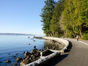 This summer's lineup of outdoor movies and musicals in Stanley Park ranges from Broadway hits to Hollywood blockbusters. (FOTOLIA)