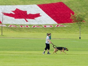 A woman rollerblades with her dog past a large Canadian flag painted onto a hillside near the South London Community Centre, one of several sites across the city where Canada Day celebrations will be taking place Wednesday, in London, Ont. on Monday June 29, 2015. Craig Glover/The London Free Press/Postmedia Network