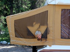 Five-year old Noah Bayliss of Sherwood Park, Alta, pokes his head out of the family tent trailer, after a black bear ripped through the plastic window, before being scared off by Noah and the Bayliss Family. (Photo courtesy of Bayliss Family)