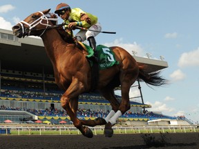 Jockey Alan Garcia guides Red Rifles to victory in the $150,000 Dominion Day Stakes at Woodbine Racetrack yesterday. (Michael Burns/photo)