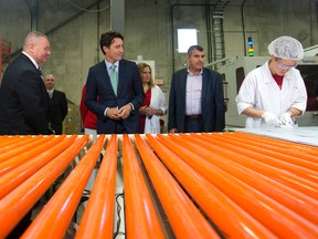 Justin Trudeau sees how solar panels are made at London?s Canadian Solar plant, part of the federal Liberal leader?s campaign-style Forest City swing Thursday. (CRAIG GLOVER, The London Free Press)