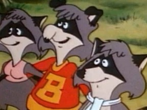 The Raccoons