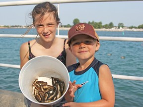 Mackenzie Boyle, left, and Bailey, 5, are shown in this file photo holding a bucket of gobies at the 2012 Bluewater anglers Family Fun Derby. This year's derby is set for July 11. File photo/The Observer