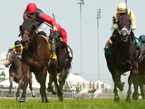 Jockey Emma-Jayne Wilson guides Samuel Dechamplain (left) to victory over the E.P. Taylor turf course at Woodbine Racetrack yesterday in the $100,000 Charlie Barley Stakes. Wilson takes Easy Indygo to the starting gate this evening in the Queen’s Plate. (MICHAEL BURNS photo)