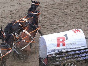 Layne Bremner's horses react after colliding with another wagon in Heat 6 of the Rangeland Derby chuckwagon races at the Calgary Stampede in Calgary, Ab., on Saturday July 4, 2015. (Mike Drew/Postmedia Network)