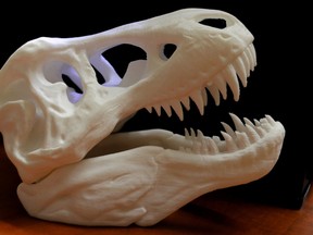 A tyrannosaurus rex skull is one of the many things that can be created using the 3D printers at the Kington Frontenac Public Library. (Anisa Rawhani/For the Whig-Standard)