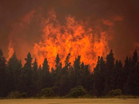 Flames from a wildfire approach trees on the edge of the airport in La Ronge, Saskatchewan July 5, 2015 in a picture provided by Saskatchewan Ministry of Environment contract pilot Corey Hardcastle. The Canadian military has been called in to help fight wildfires in the Western province of Saskatchewan, where 112 active fires have forced the evacuation of more than 13,000 people and threatened several remote towns on Monday. Picture taken July 5, 2015.  REUTERS/Corey Hardcastle/Handout via Reuters