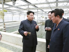 North Korean leader Kim Jong Un gives field guidance to the Taedonggang Terrapin Farm in this undated photo released by North Korea's Korean Central News Agency (KCNA) in Pyongyang on May 19, 2015. (REUTERS/KCNA)