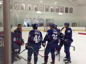 Leafs hopefuls listen to instructions yesterday during prospects camp. Viktor Loov (inset) is one of the players looking for a job. (Lance Hornby/Toronto Sun)