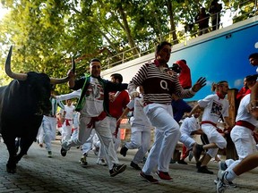 A reveller grabs the horn of a Victoriano del Rio ranch fighting bull during the daily running of the bulls at the San Fermin festival in Pamplona, Spain, Thursday, July 9, 2015. (AP Photo/Daniel Ochoa de Olza)