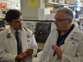 Dr. Derek Jonker speaks with Dr. John Bell, one of the prime scientists behind the new experimental anti-cancer viral therapy.
SAM COOLEY/Ottawa Sun