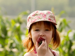 Northlands Urban Farm tour held in Edmonton