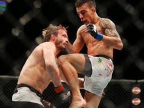 Thomas Almeida knocks out Brad Pickett  with a knee during their bantamweight mixed martial arts bout at UFC 189 on Saturday, July 11, 2015, in Las Vegas. (AP Photo/John Locher)