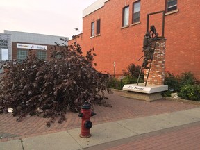 City police are trying to track down the culprits responsible for vandalizing the Edmonton firefighters memorial Friday evening in the heart of Old Strathcona. Photo courtesy of Edmonton police.