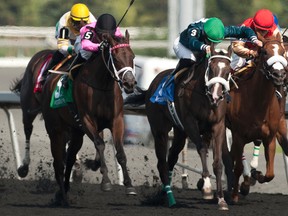 Jockey Emma Jayne Wilson guides Brooklynsway to victory in the Bison City Stakes at Woodbine Racetrack on Sunday. (MICHAEL BURNS/PHOTO)