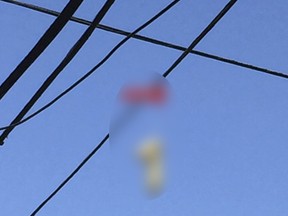 A pair of sex toys hang over power lines above a residential street in Portland, Oregon July 13, 2015. Hundreds of phallic sex toys have been seen hanging in recent days from power lines across Portland provoking laughter, blushing and lots of photos. The large white and bright orange dildos appear to have been strung together in pairs, and have prompted numerous reports to the Portland Office of Neighborhood Involvement, department spokeswoman Lisa Leddy said on Monday. REUTERS/Courtney Sherwood