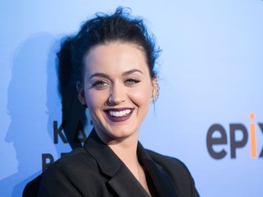 Katy Perry. (WENN.com)