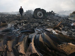 An Emergencies Ministry member walks at a site of a Malaysia Airlines Boeing 777 plane crash near the settlement of Grabovo in the Donetsk region, in this July 17, 2014 file picture. (REUTERS/Maxim Zmeyev/Files)