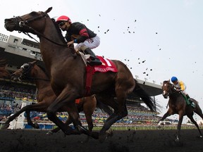 Jockey Rafael Hernandez rides aboard Shaman Ghost on their way to winning the 156th running of the Queen's Plate at Woodbine earlier this month. (FRANK GUNN/THE CANADIAN PRESS)