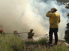 Los Angeles County firefighters fight a wildfire near Wrightwood, Calif., Saturday, July 18, 2015. The wildfire swept across Interstate 15 on Friday, destroying over a dozen vehicles before burning several homes in the community of Baldy Mesa. (AP Photo/Matt Hartman)