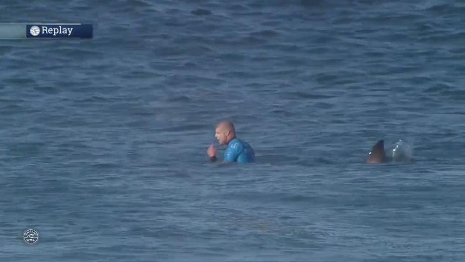 Australian surfer attacked by shark on live TV Toronto Sun